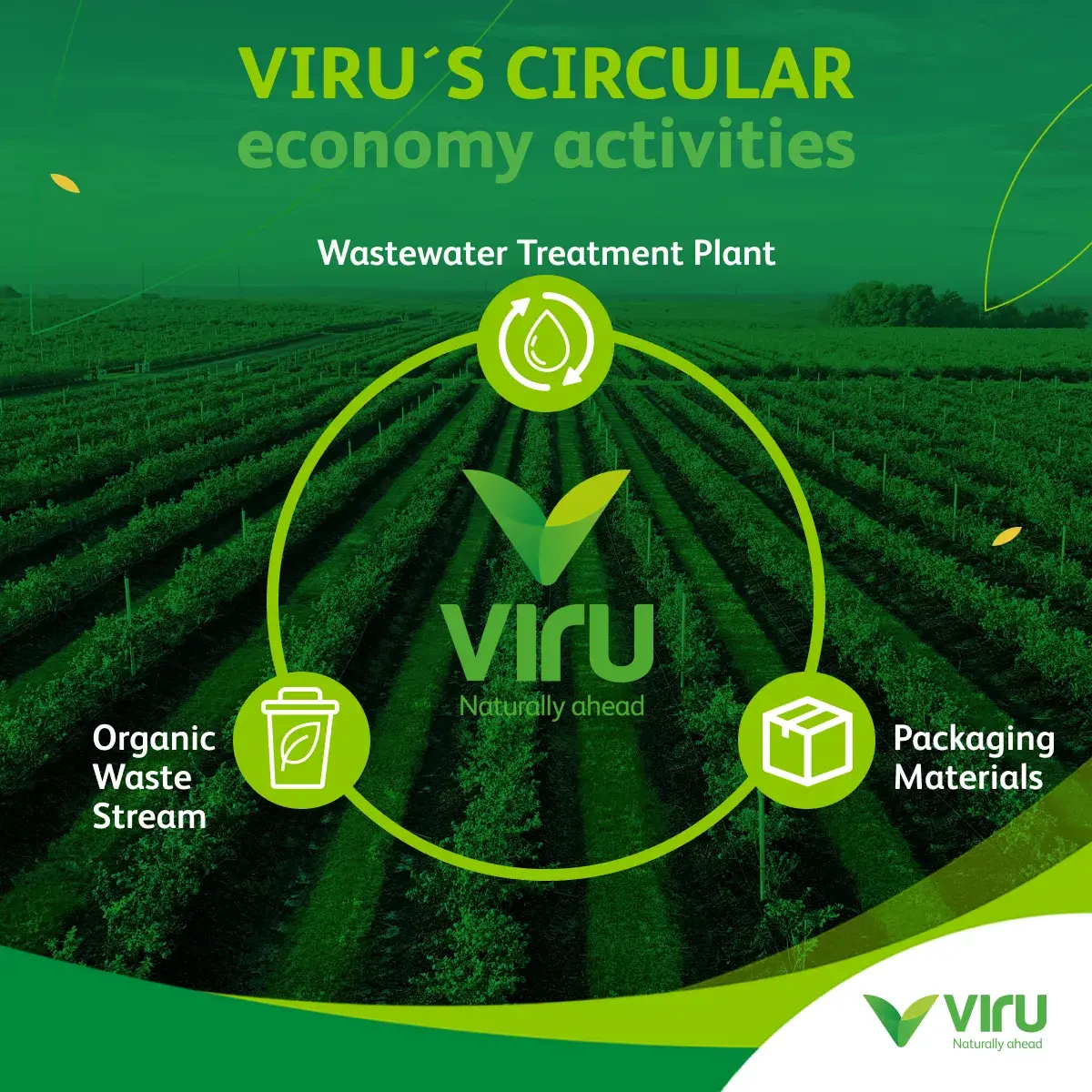 Posts - VIRU - Perú